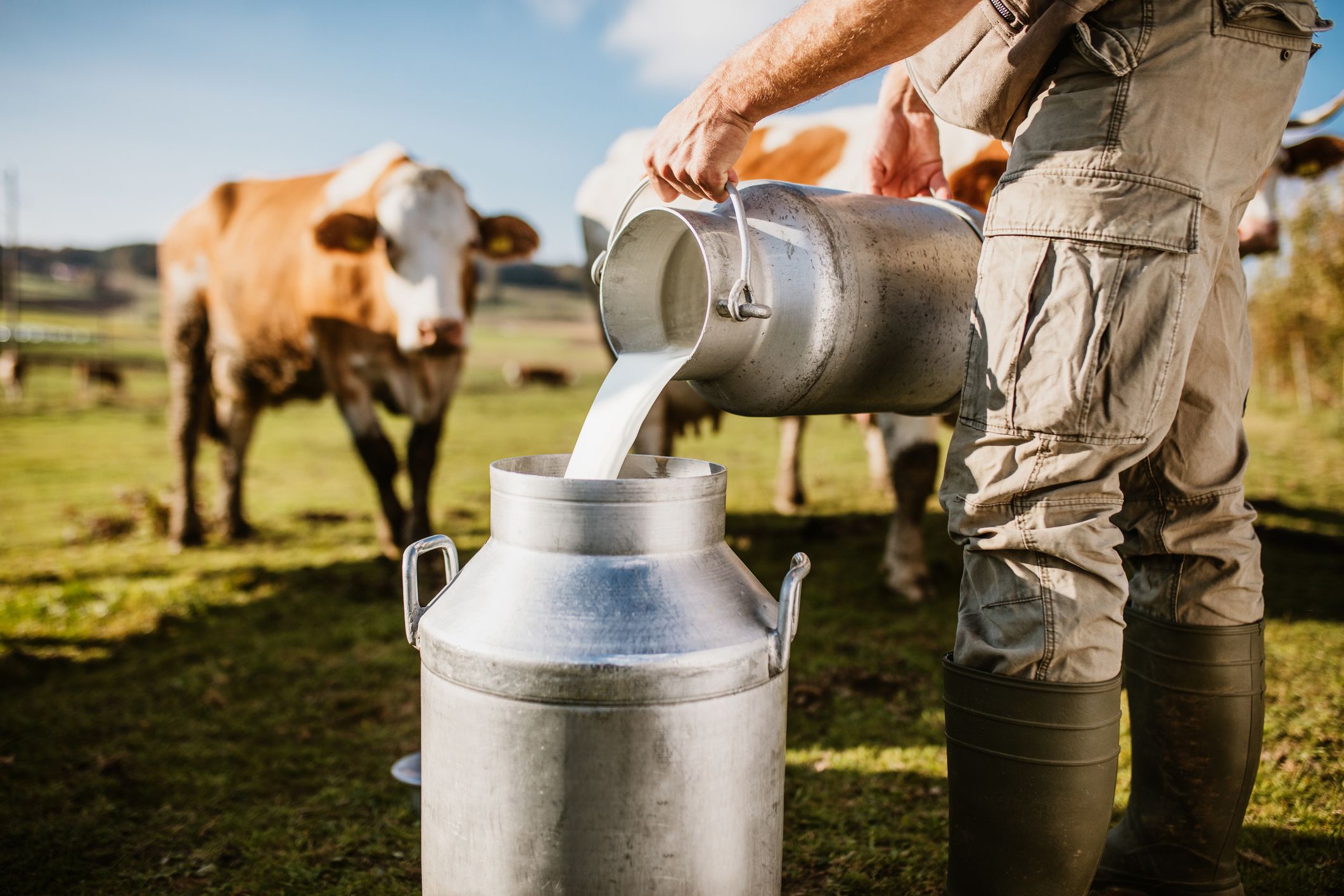 Câmara aprova projeto que restringe uso dos termos “leite” e “carne” em produtos vegetais
